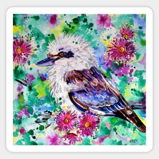 Kookaburra Sticker